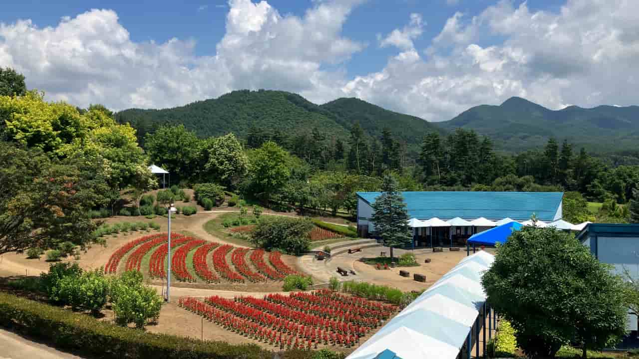 当時のメディア報道・掲載写真